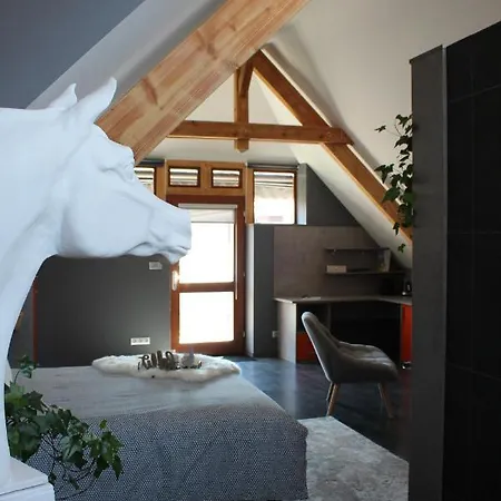 Pensionat Loft Dans Corps De Ferme - Acces Jacuzzi Hangenbieten