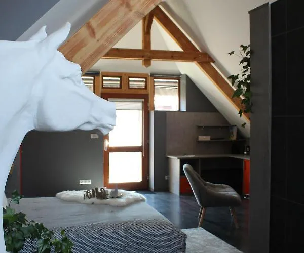 Pensionat Loft Dans Corps De Ferme - Acces Jacuzzi Hangenbieten
